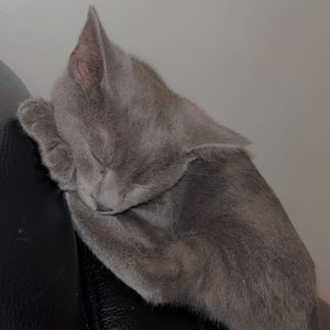 Meet your Posher, Deserae